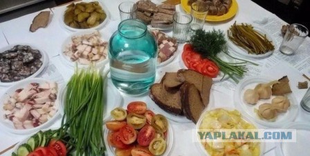 Подборка фотографий со всего света