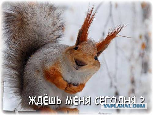 Как я бросил пить