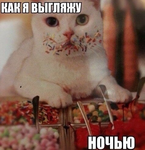 Мохнатые беспредельщики