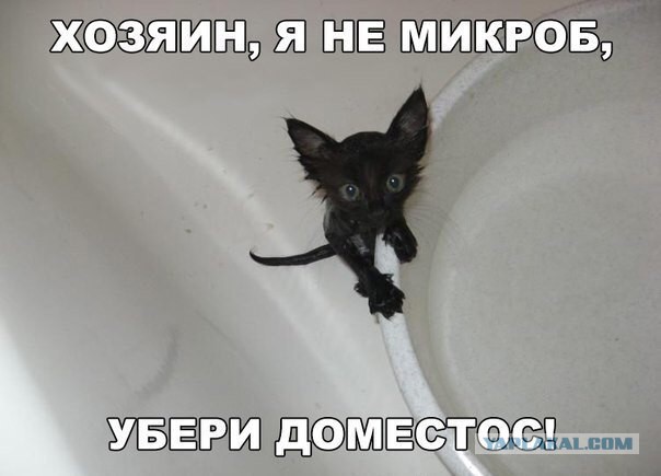 Фото из конкурса на самую смешную фотографию дикой природы