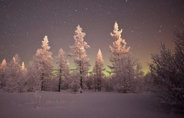 Моменты, запечатлённые на фото и просто позитив 5