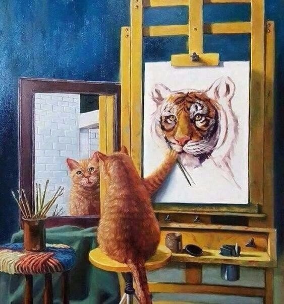 Коты из сети