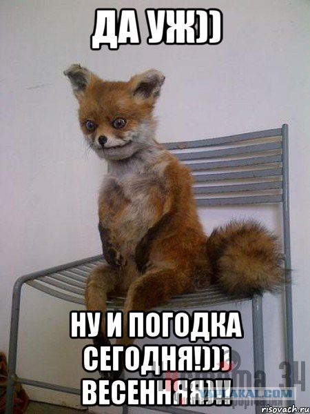 Невиданная хрень!