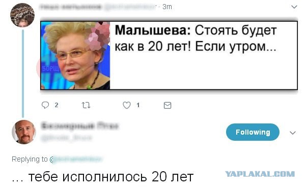 Журнал школьный деградант