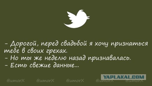 Смешные комментарии из социальных сетей 10.11.2017