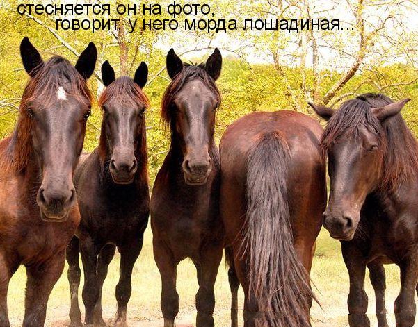 Я вам тут понасобирал