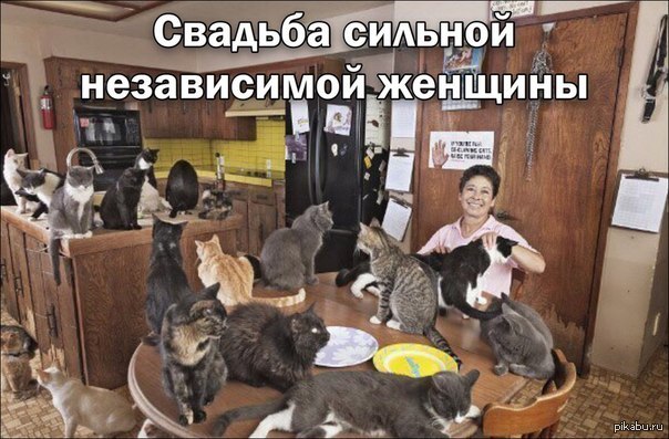 Всколыхнем женскую биомассу