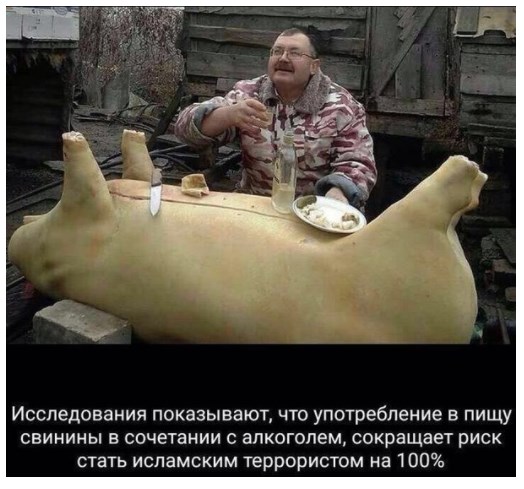 Смешные комментарии из соц.сетей