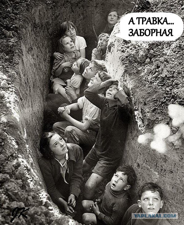 Специфический юмор