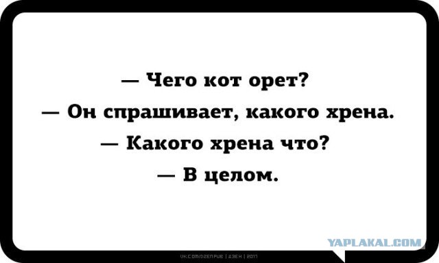 Весёлые картинки