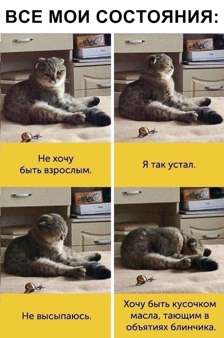 Немного картинок для настроения