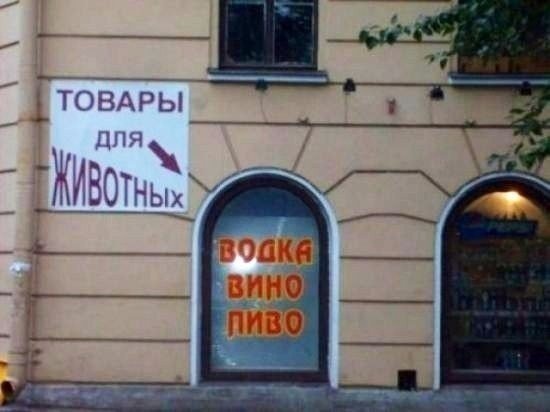 Прикольные надписи и объявления