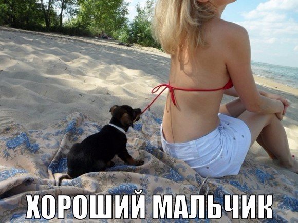 Нестандартный юмор