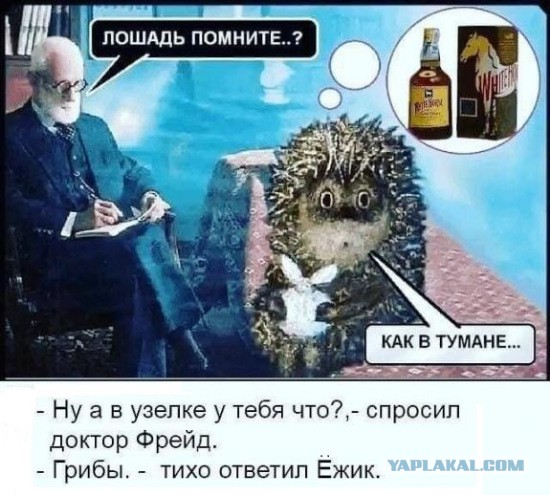Анекдоты, истории и картинки с надписями