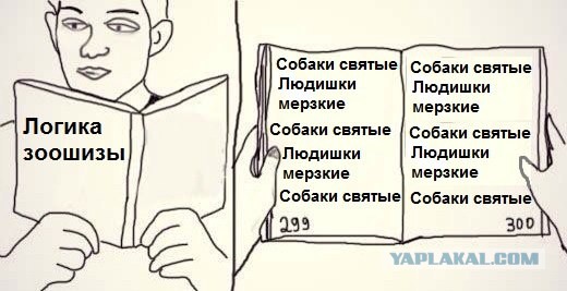 Привязал собак к машине: в Самаре разразился скандал из-за смерти двух псов