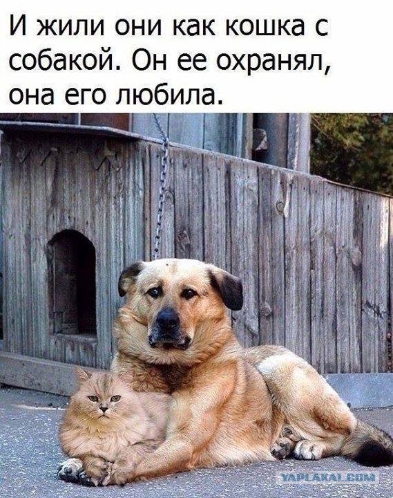 Немного картинок для настроения 12.12.19