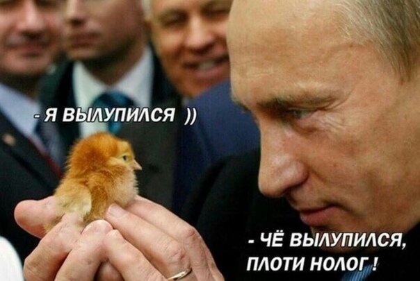 Штрафы