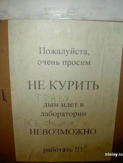 Чуток картинок на пятницу (03.04.2020)