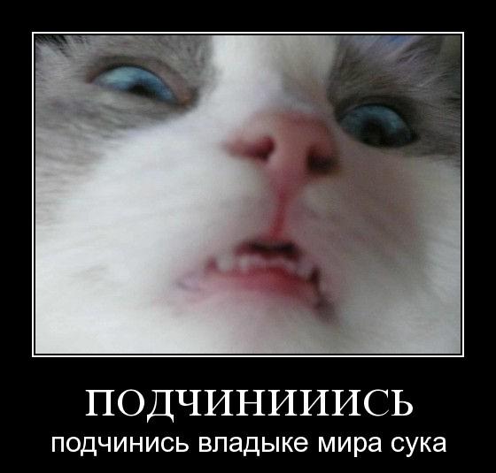 Бредзона 09.05.20