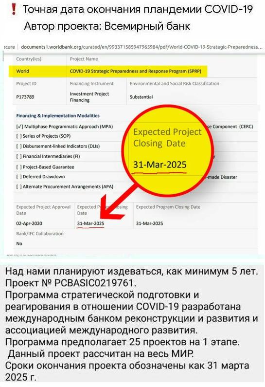 Как я попытался сделать тест на коронавирус (ненормативная лексика)