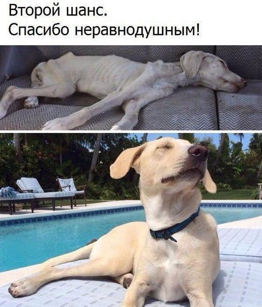 Картинки и мемы для настроения 005