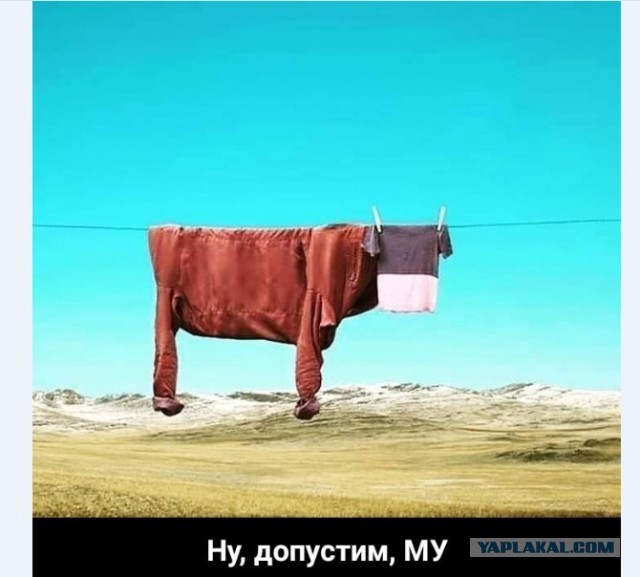 Картинки и мемы для настроения 018