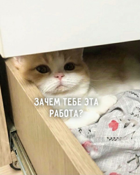 Картинки и мемы для настроения 01.06.2021
