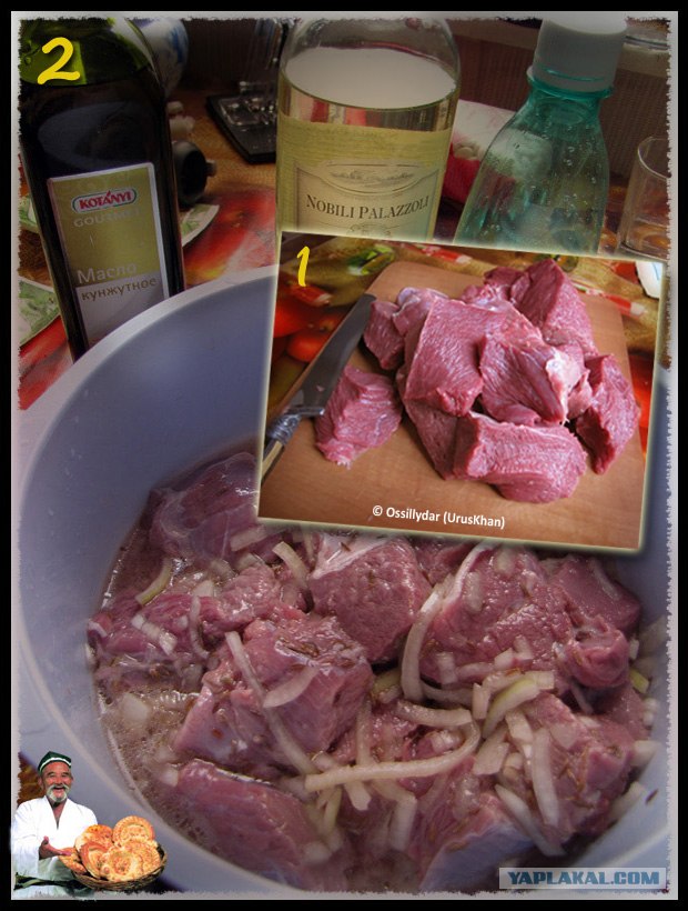 Фасоль – International, Или «Веселые нотки»