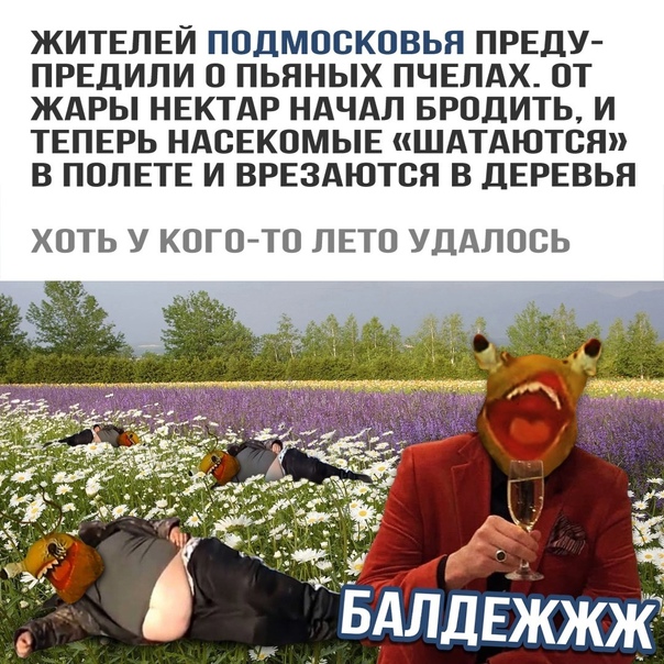 Алкопост 16.07.21