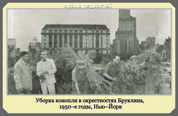 Прикольные и просто красивые картинки 25.08.2021