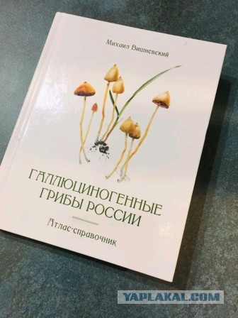 Партия пенсионеров жжет