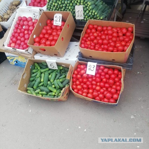 Опустевшая Псковщина. Поездка на юг Псковской области