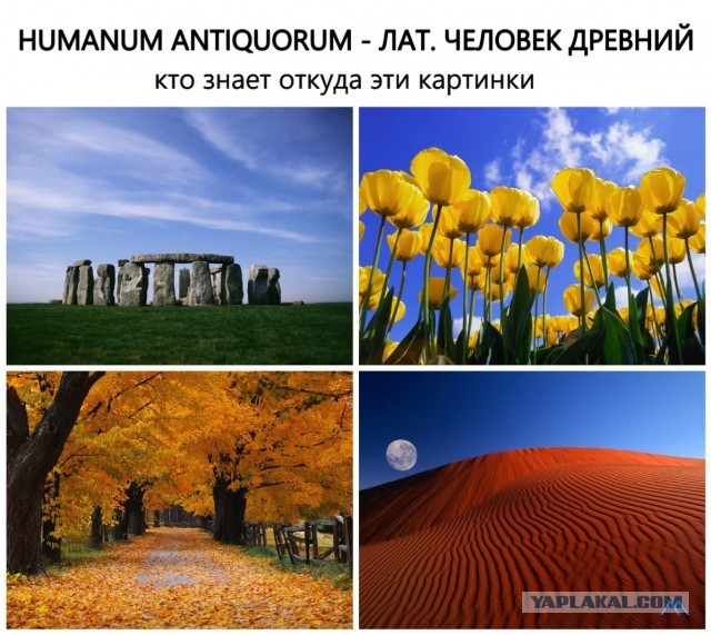 Картинки обо всём 3 22.12.21