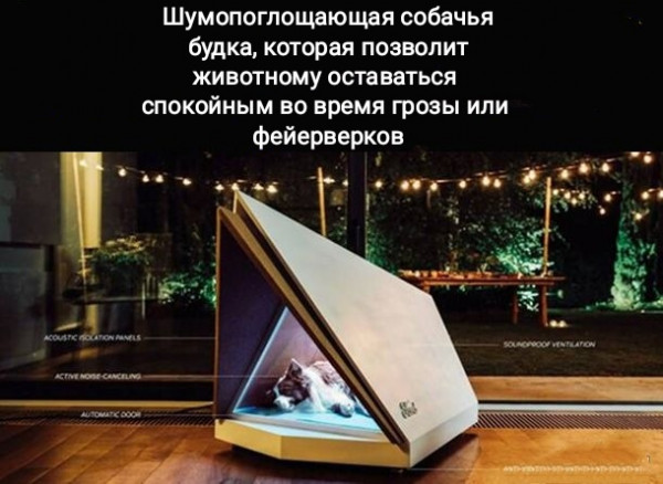 Разные картинки для настроения на любой вкус - 2