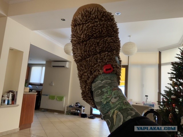 Какого бренда одежду вы покупаете?