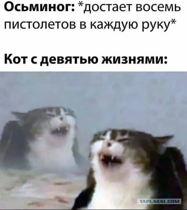 Весёлый полтинничек 01.04.2022