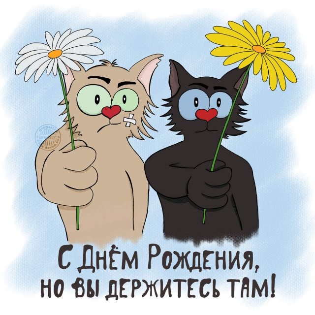 Так себе картинки 18.04.22