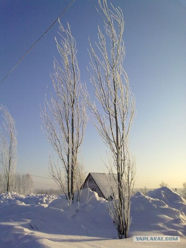 15 фактов об Удмуртии