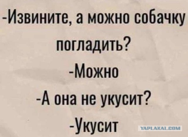 Аморалка Лайт