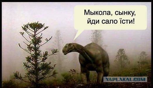 Николя, вы знали, что Вы украинец?