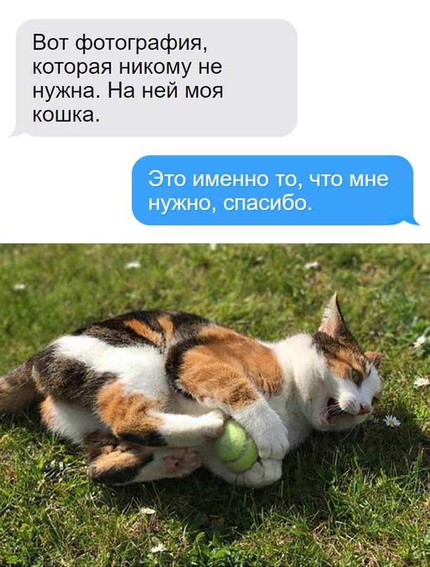 Картинки и мемы для настроения - 23