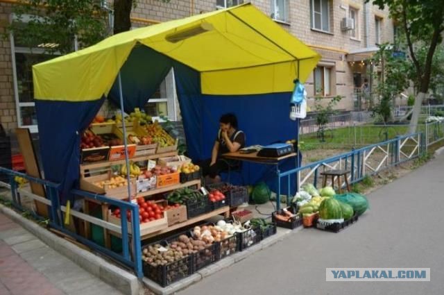 Палатки