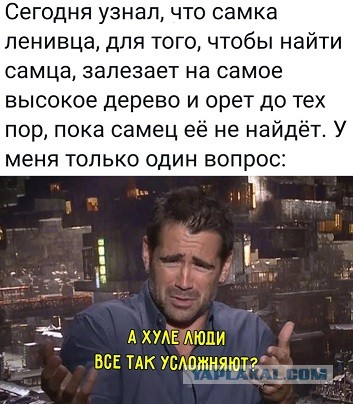 Картинки и мемы для настроения. Выходные скоро