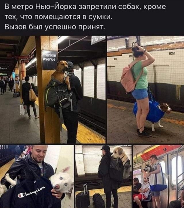 Так себе картинки 06.09.22