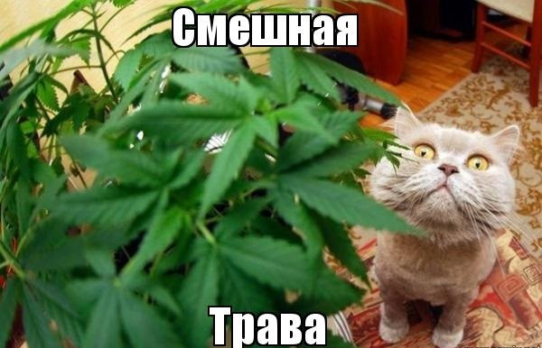 Прикольные и просто красивые картинки 13.10.2022