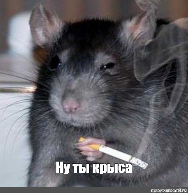 «Повесточку будете получать?»
