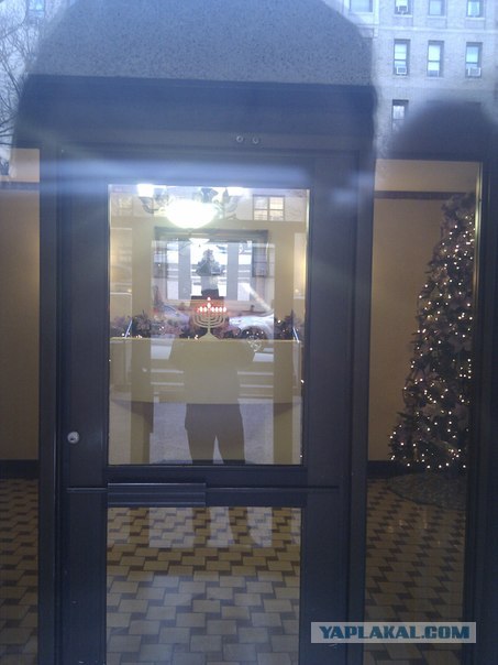 Моя первая поездка в Нью-Йорк и Маями