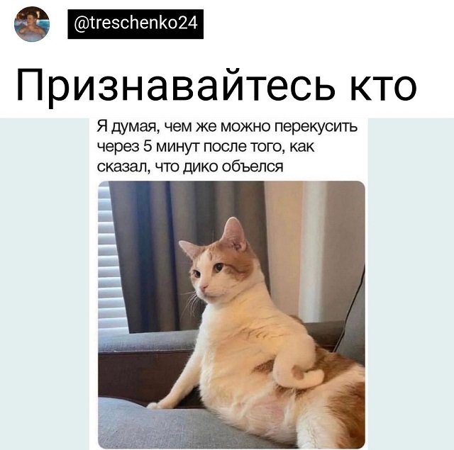 Картинки и мемы, выходные продолжаются