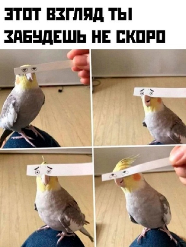 Немного картинок для настроения - 127