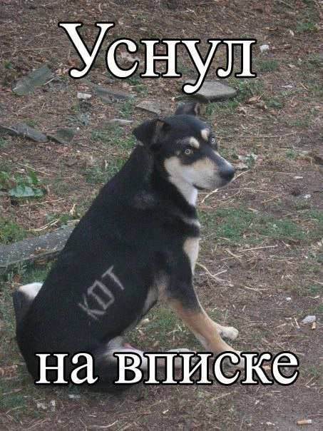 Картинки на пятницу